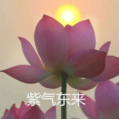 平行世界骑士游戏下载
